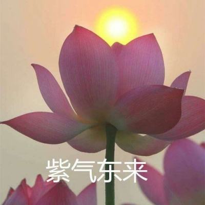 挑斗三国手游腾讯版下载